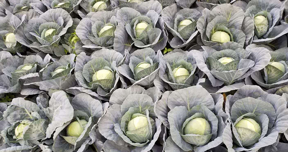 upload/20240813163516.jpg